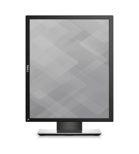 Dell Professional P1917S
